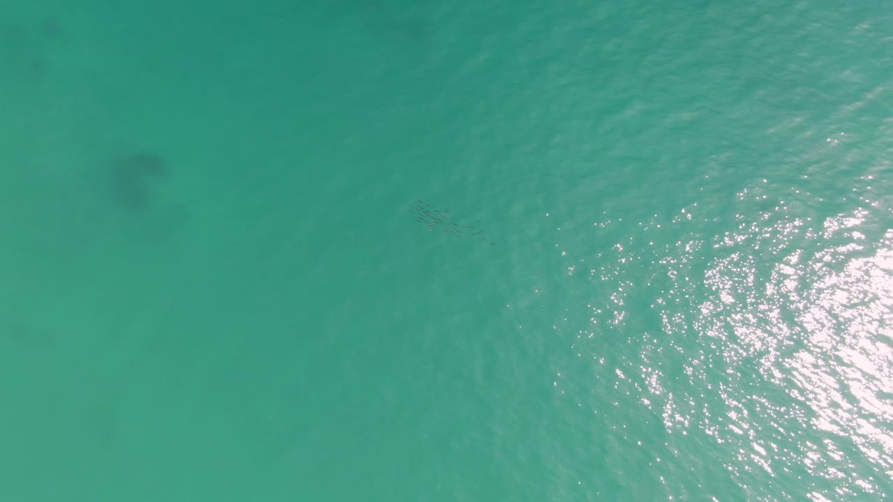 Overhead Punta Gorda Beach water frame with diffuse sunlight on the right, darker underwater patches, and no recognizable people or faces visible.