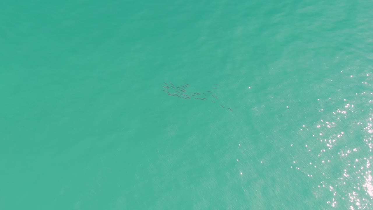 A small dark fish school sits near the upper center of clear turquoise ocean water at Punta Gorda Beach, with sun sparkle concentrated on the right and no visible people.