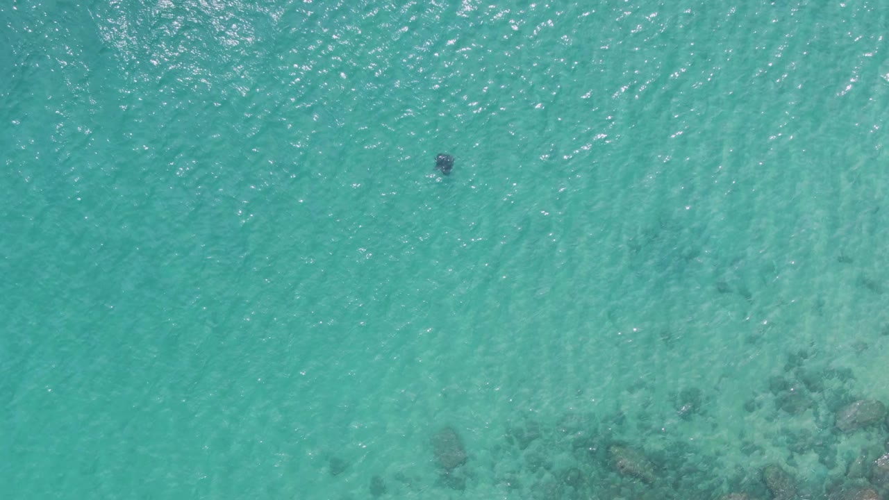 At Puerto Los Cabos Beach, a distant swimmer appears near the upper left of clear turquoise water, with darker submerged rocks visible along the lower portion.