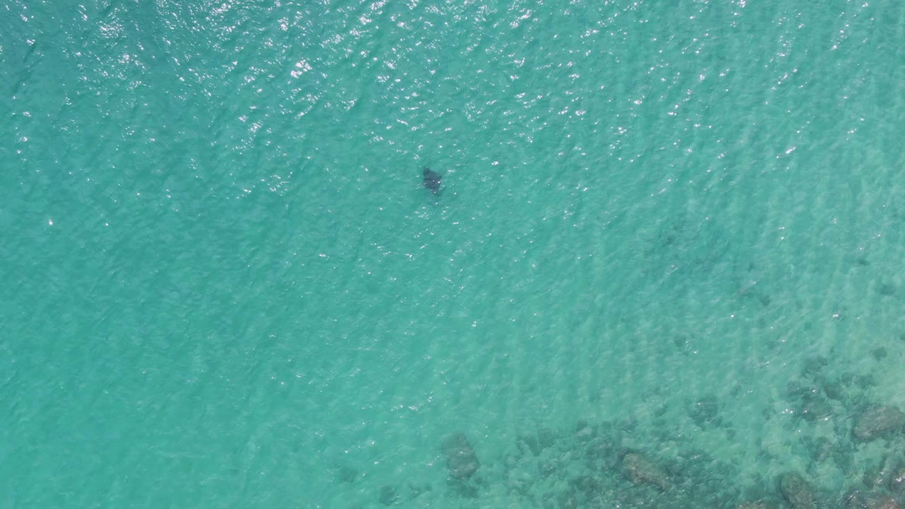 Clear turquoise water from above with a small swimmer near the top center.