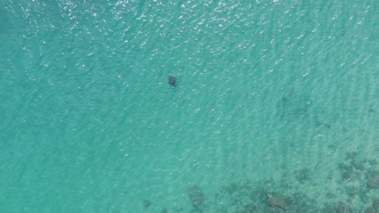 At Puerto Los Cabos Beach, a distant swimmer sits near the upper middle of the frame as clear water reveals darker rocks toward the lower right.