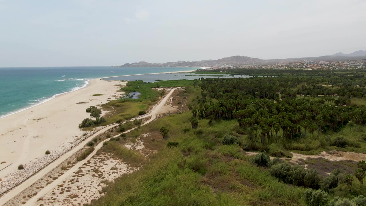 Wide aerial frame at Puerto Los Cabos Beach showing the shoreline angled across the left, a light-colored road bending through sandy ground, thick palms and green vegetation to the right, and no visible people.