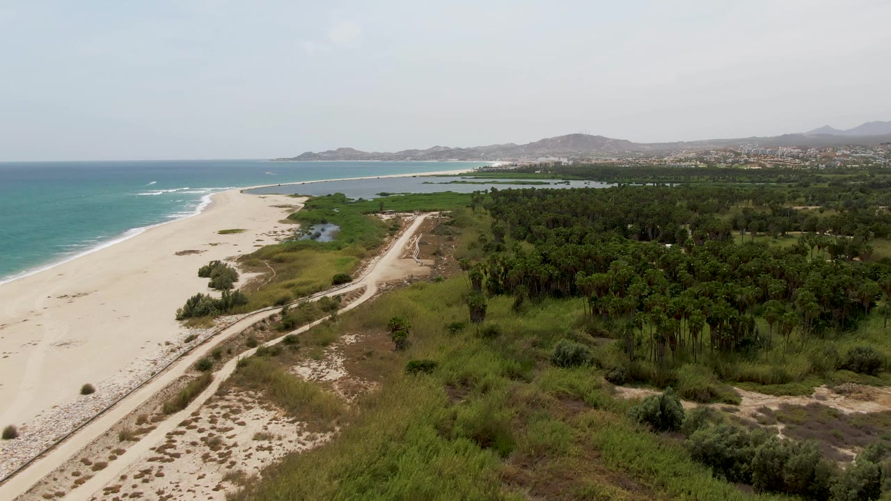 Aerial beach and coastal road beside green palms and low hills.