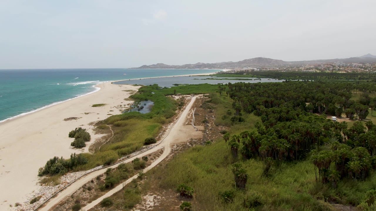Drone frame at Puerto Los Cabos Beach with ocean waves along the left edge, broad sand, a curving dirt road in the lower frame, green brush and trees, and no visible people.