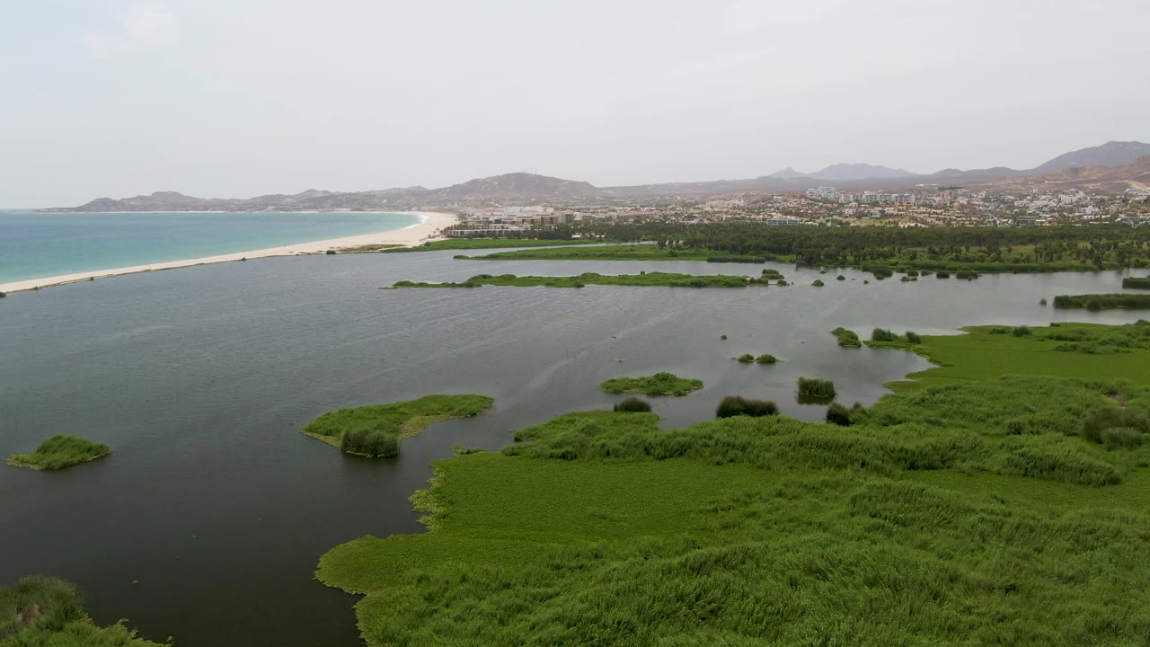 Puerto Los Cabos Beach appears from above with broad green reeds in the lower frame, small wetland patches in the lagoon, the sandbar-like beach along the ocean, distant hills, and no visible people.