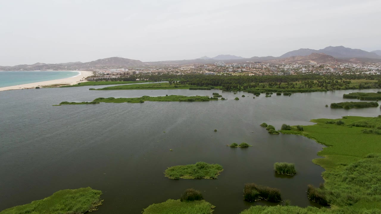 Wide aerial over Puerto Los Cabos Beach wetlands with broad dark water in the foreground, reed clusters near the lower edge, the beach and ocean at left, a distant town across the horizon, and no visible people.