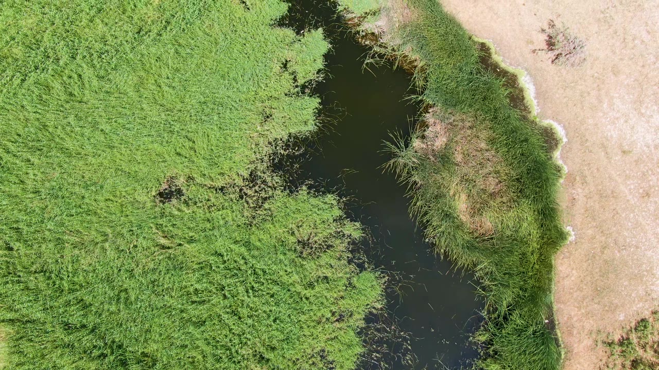 Aerial close view of pond water cutting between grass and dry land.