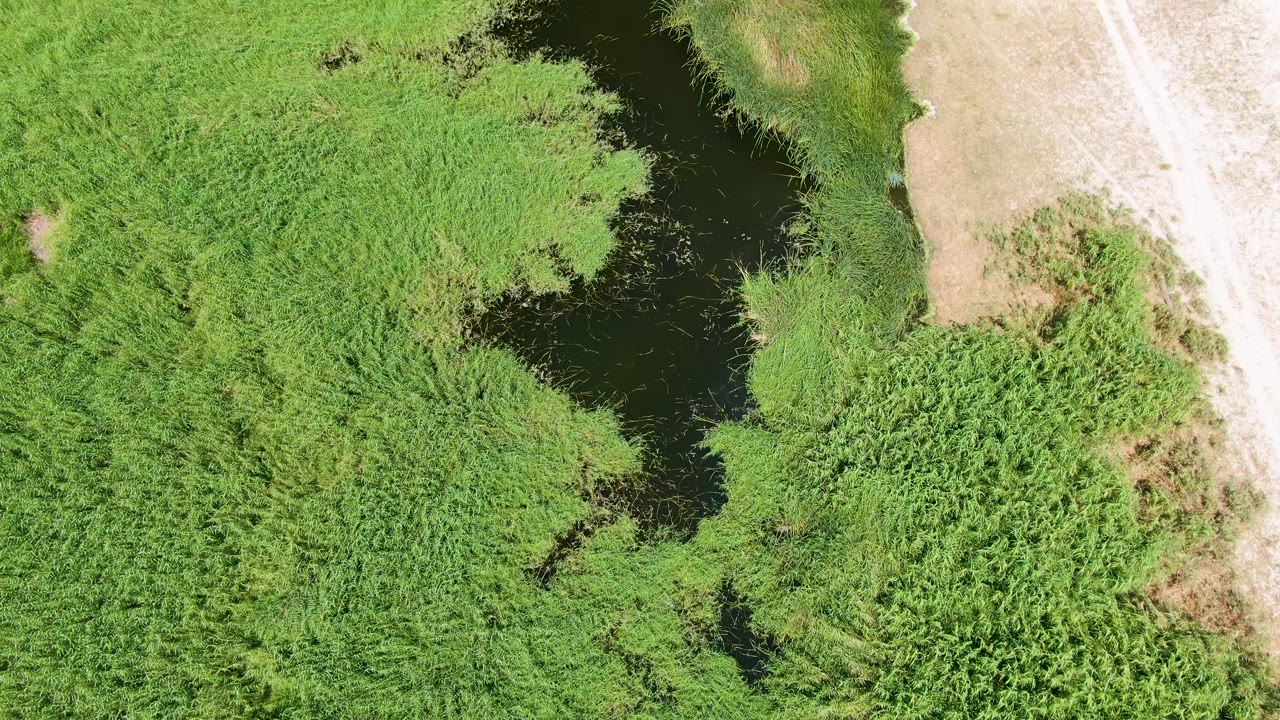 At 0:03, the Puerto Los Cabos Beach marsh is seen from above with a dark water channel between green reed beds and pale dry ground, with no visible people.