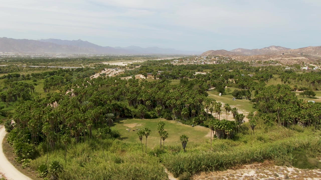 Aerial view of green trees, grass, dirt paths, and distant mountains.