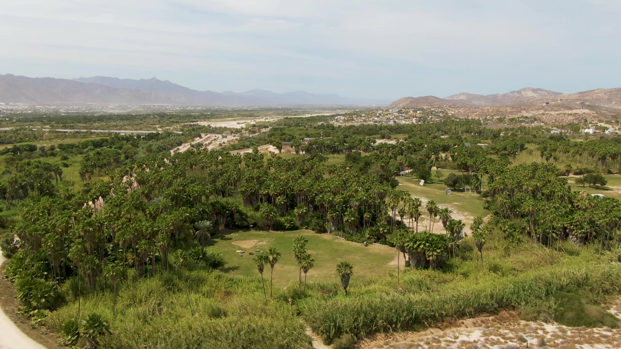 Mid-clip frame from Puerto Los Cabos Beach showing a wide field of green trees and grasses, low mountains in the distance, bright haze, and no visible people.