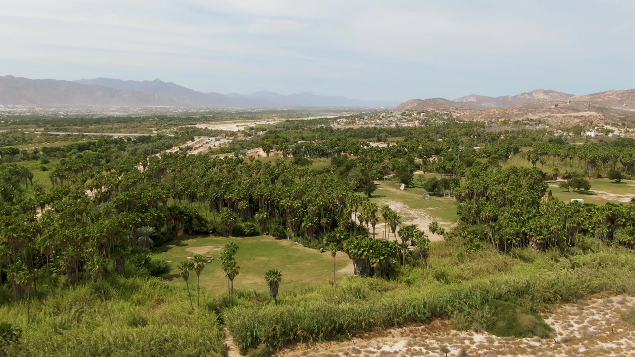 Start of a Puerto Los Cabos Beach aerial view showing dense green vegetation, dry pale ground, a few palms, hazy mountains, and no visible people.