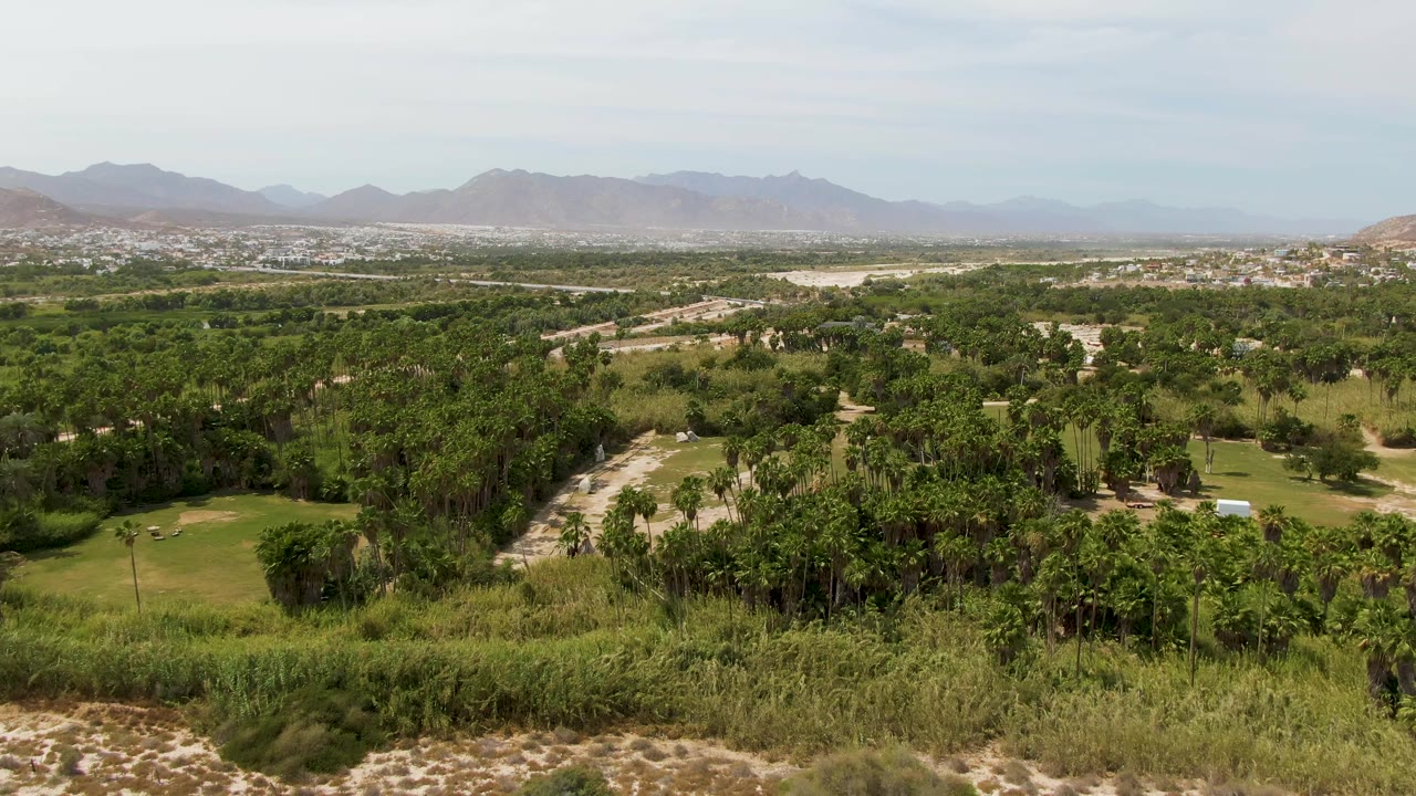 Aerial view over green trees, dry grasses, distant city, and mountains