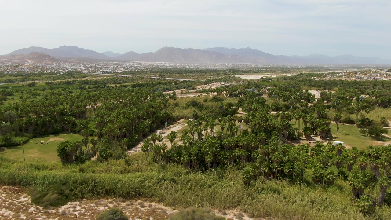 Aerial landscape over Puerto Los Cabos Beach, Baja California Sur showing dense green vegetation, open grass patches, a light road corridor, distant urban area, mountain ridges, and no visible people.