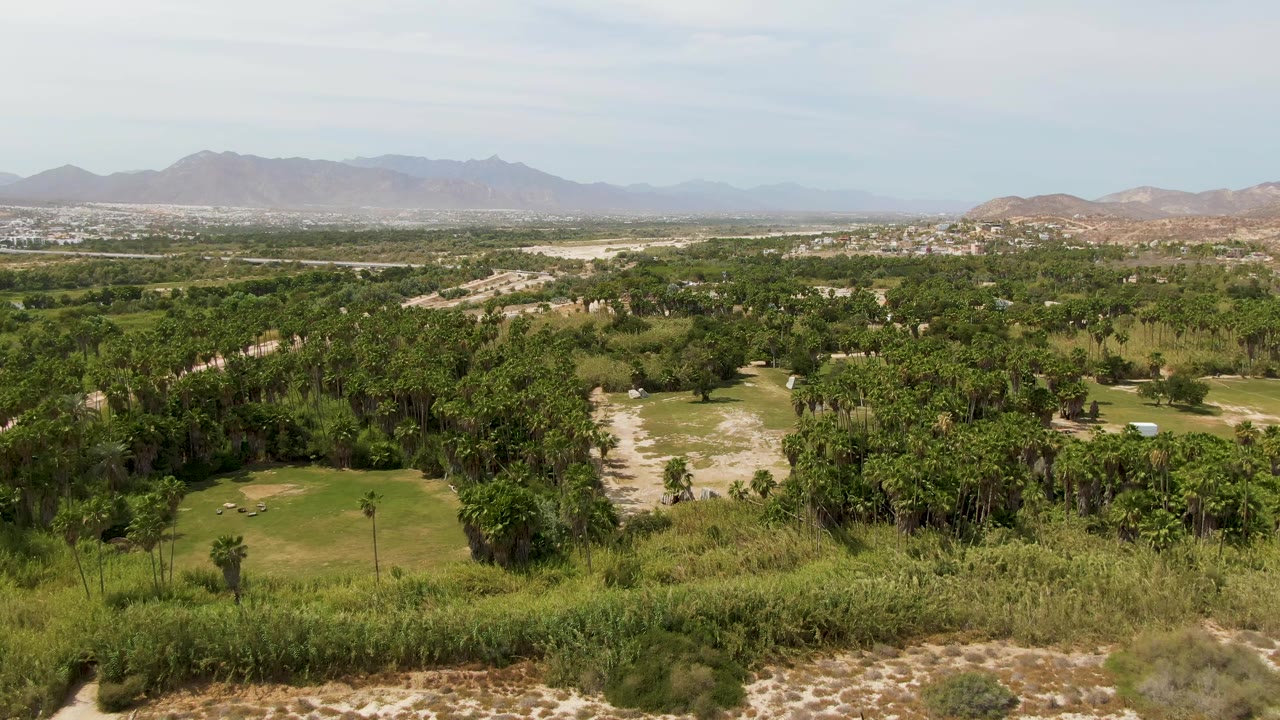 Aerial view over green trees, grass, rocky paths, and distant mountains.