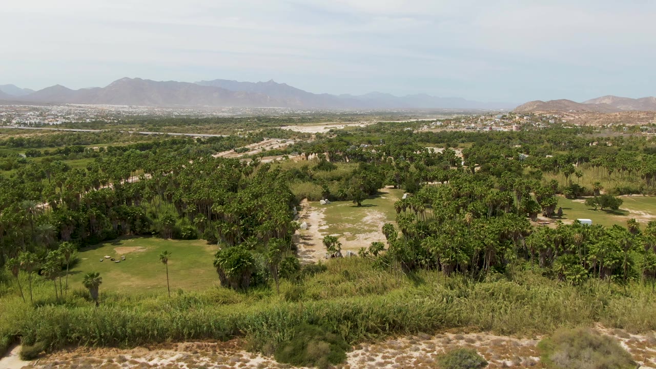 Aerial view in Puerto Los Cabos Beach, Baja California Sur, with a pale rocky path cutting through dense trees, grassy open patches, distant development, mountains, and no visible people.