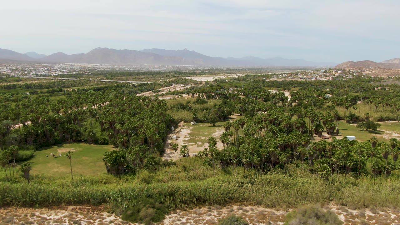 Aerial frame from Puerto Los Cabos Beach, Baja California Sur, showing scrubby foreground vegetation, a broad green valley, pale tracks, distant mountains, and no visible people.