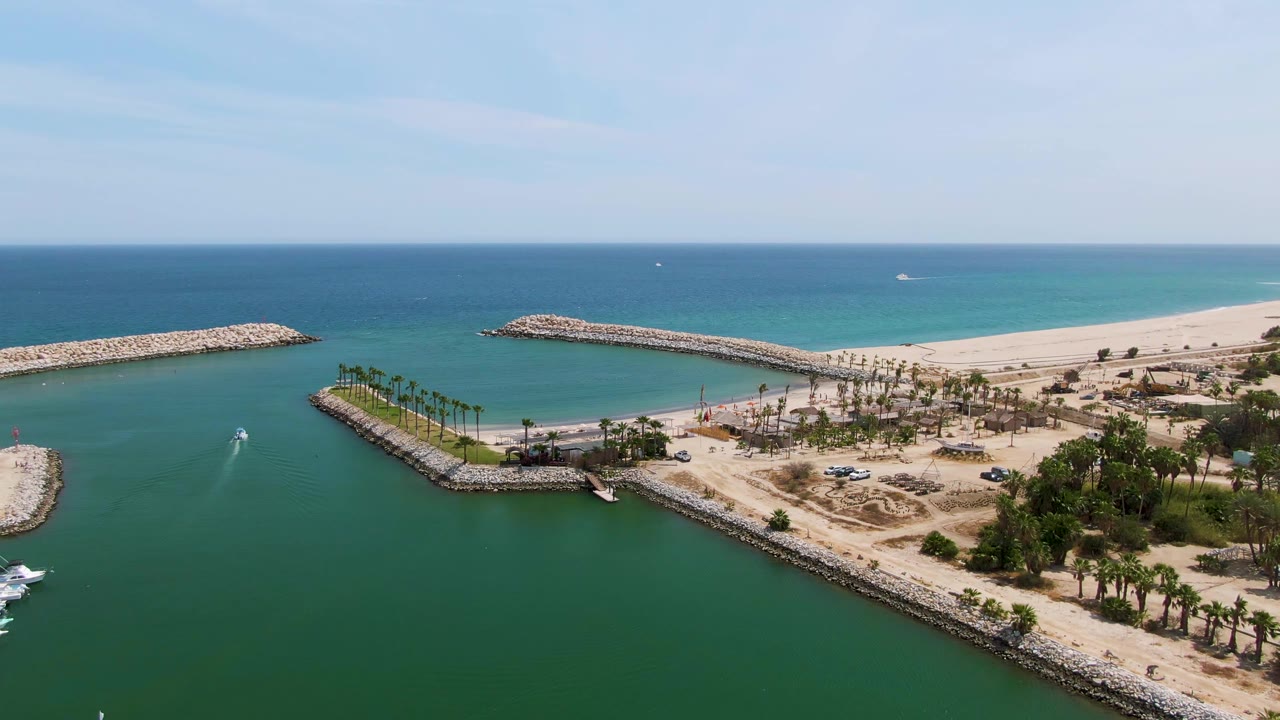 High oblique view of Puerto Los Cabos Beach showing green water in the foreground, a curving rock breakwater, rows of palms, sandy ground, ocean beyond the beach, and no visible people.