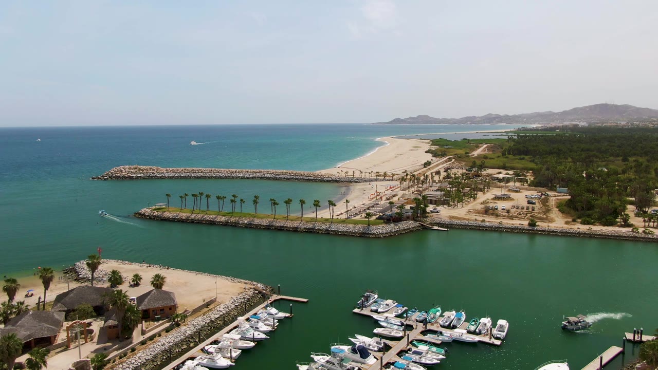 Aerial marina view with docked boats, palm shore, beach, and ocean.