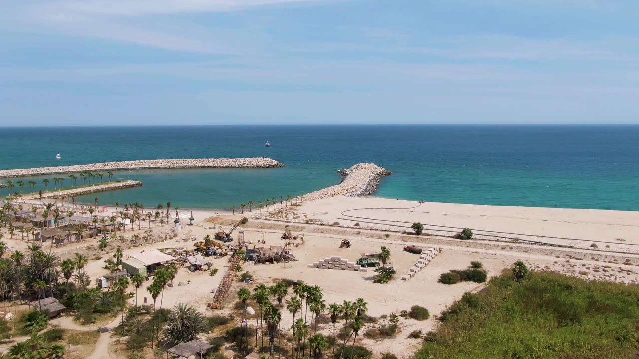 Beach and breakwater aerial view with palms in the foreground