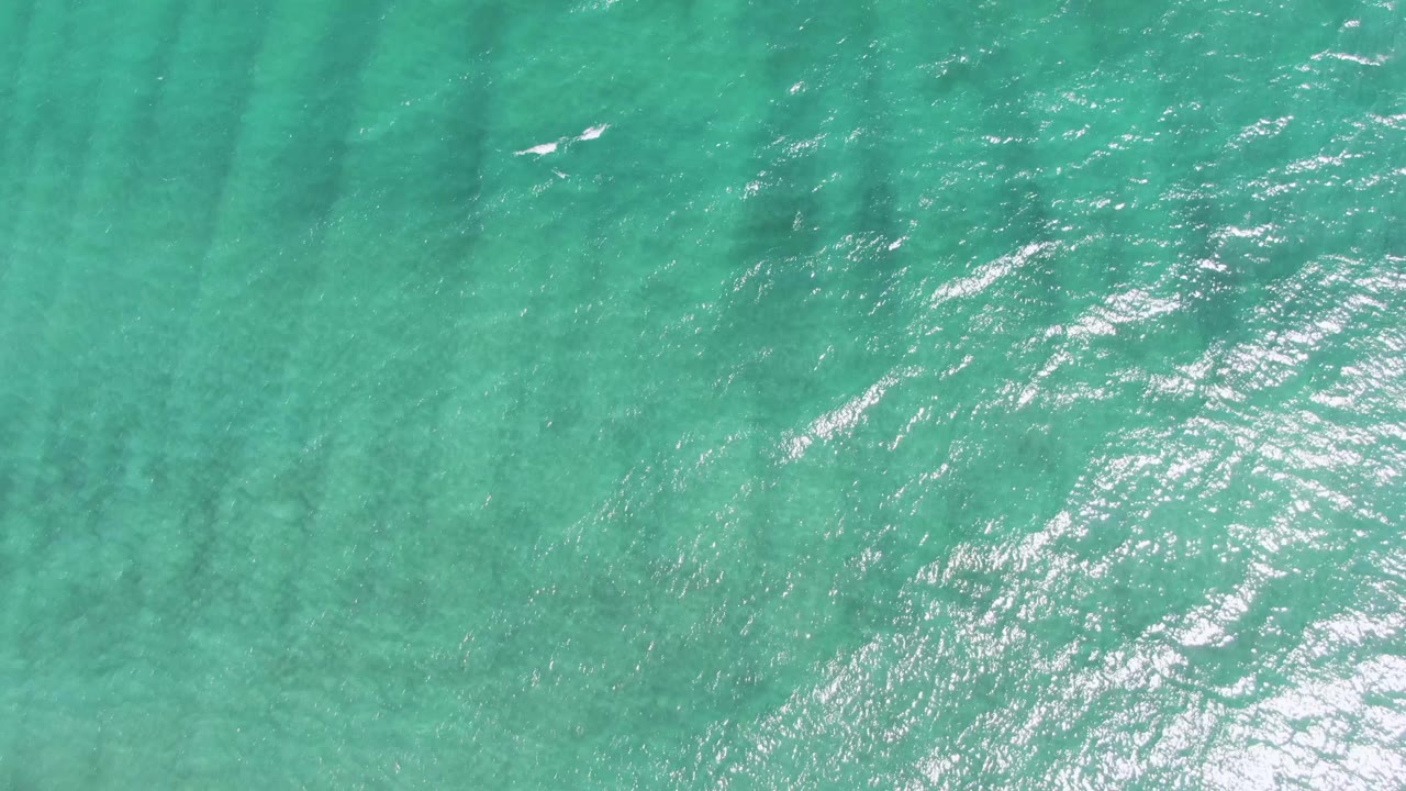 A small white bird appears over the turquoise water at Puerto Los Cabos Beach, above ripples, dark underwater streaks, and bright surface highlights, with no visible people.