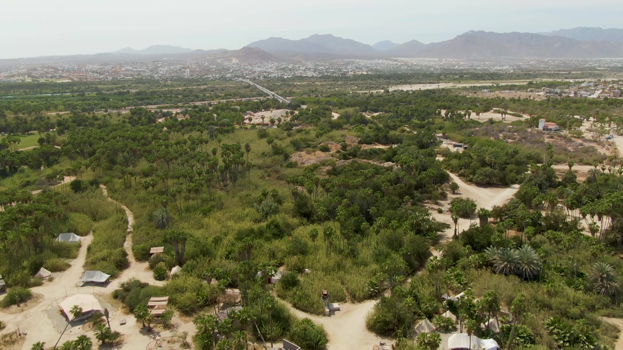 High aerial view in Puerto Los Cabos Beach, Baja California Sur, with dense green tree cover, winding dirt roads, scattered low buildings, distant settlement edges, and no visible people.