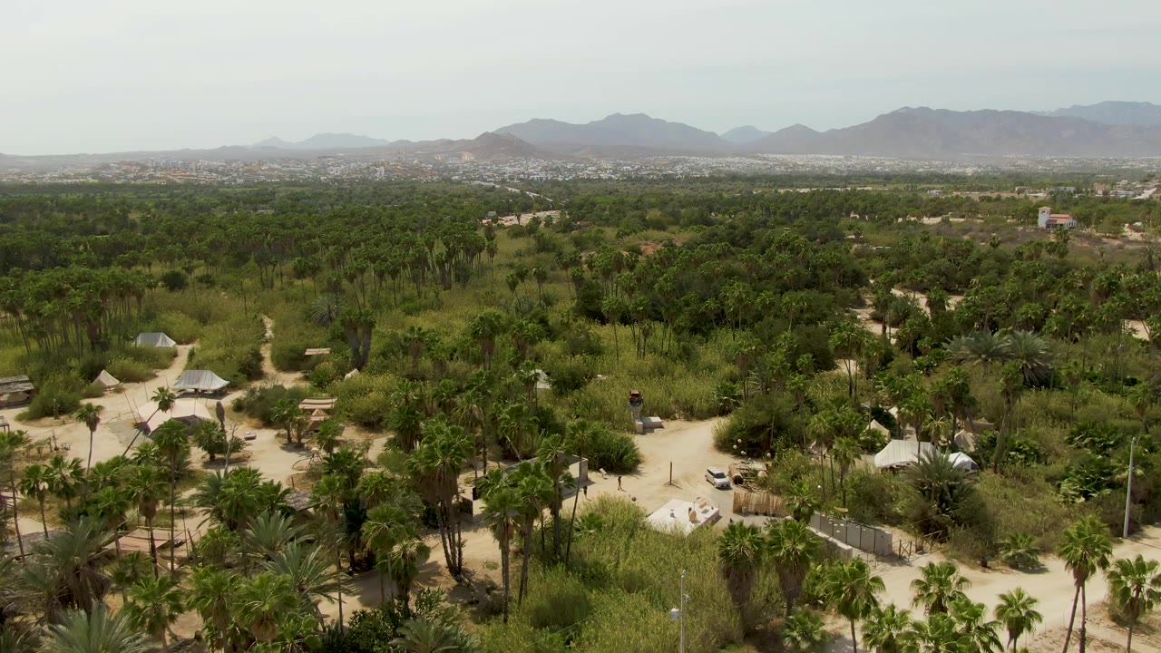Aerial view over palm grove, sandy roads, distant town, and mountains.