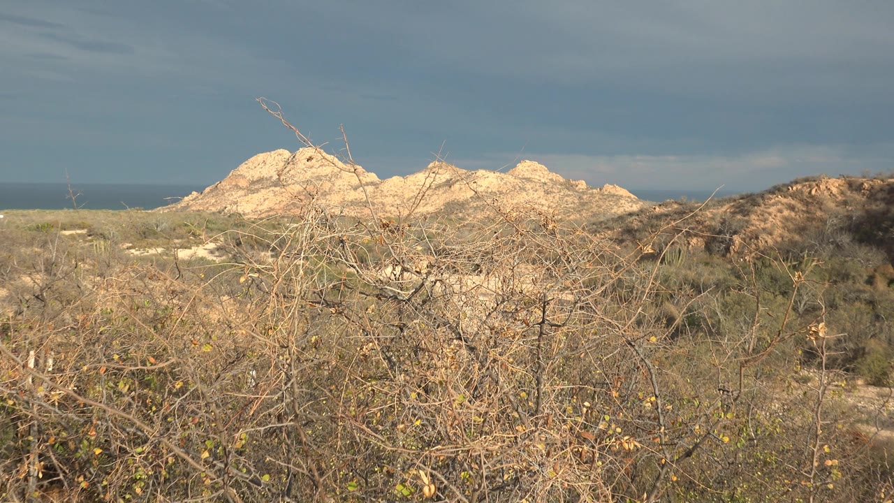 Third frame of the Cabo Pulmo coastline with dry scrub crossing the foreground, sunlit rocky outcrops, a narrow sea band, and no visible people.