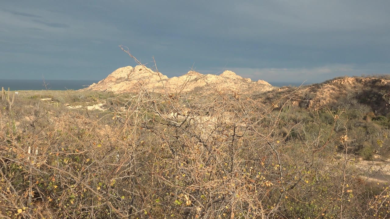 Low arid vegetation, pale rocky hills, and ocean under overcast coastal light.