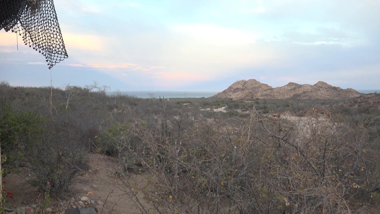 Cabo Pulmo desert trail runs through gray shrubs toward rocky hills under a pale dusk sky, with a dark net edge overhead and no visible people.