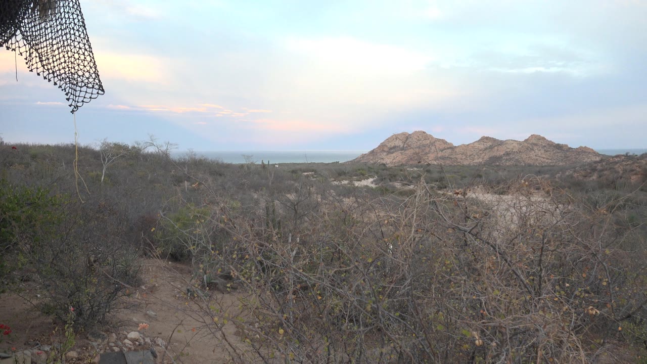 Cabo Pulmo scrubland fills the foreground as a dusty path leads toward low tan rock formations, with soft blue and pink sky and no visible people.
