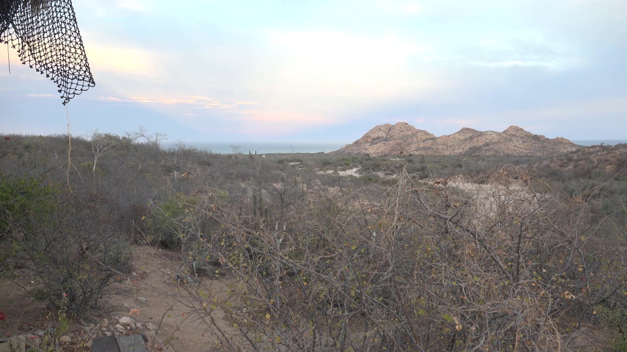 Dry shrubs and pale ground tracks lead toward rocky hills under a soft partly cloudy sky in Cabo Pulmo, Baja California Sur, with no visible people.