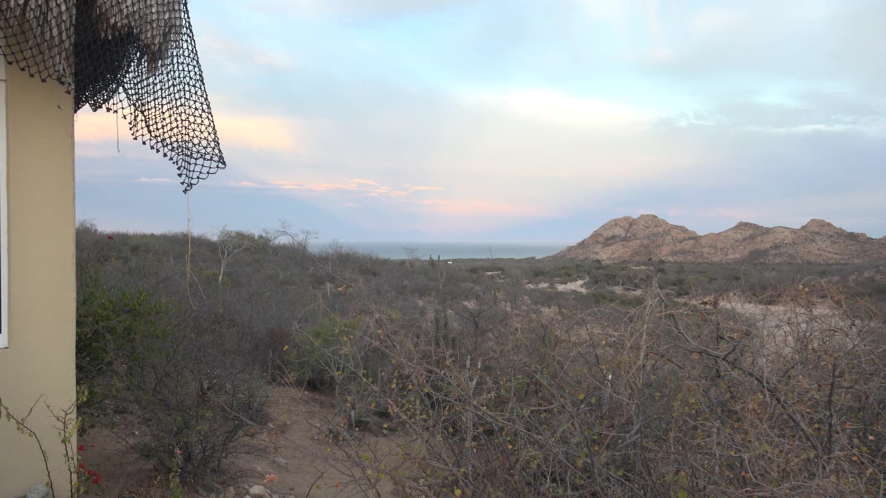 Dry bushland with distant rocky hill and hanging net edge