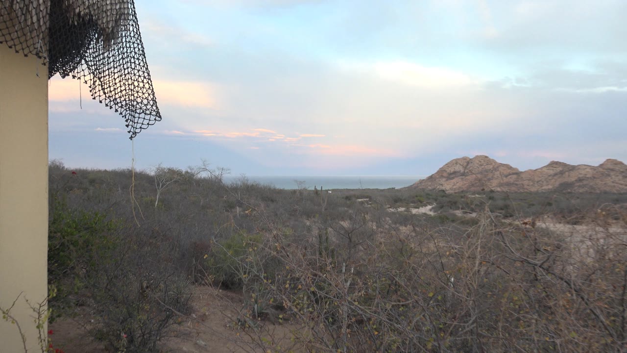 Cabo Pulmo scrubland fills the foreground as the camera shifts right, keeping low rocky hills near center and a soft pink-blue sky above, with no visible people.