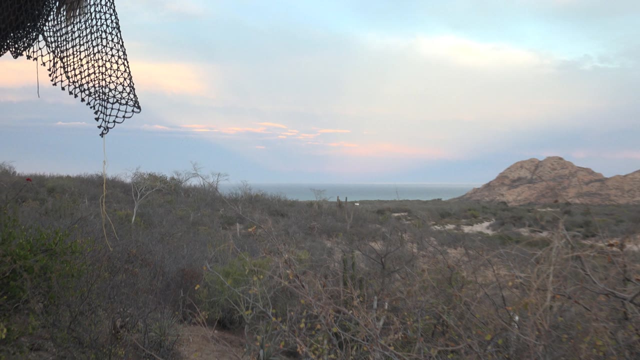 The rightward pan reveals more Cabo Pulmo brushland, with the rocky hill shifting toward the right side, a pale coastal horizon behind it, and no visible people.
