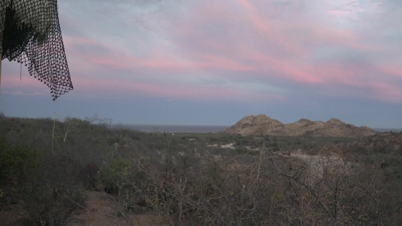 Wide Cabo Pulmo desert view at dusk with dry foreground brush, low hills on the horizon, a dark net edge at the top left, and no visible people.