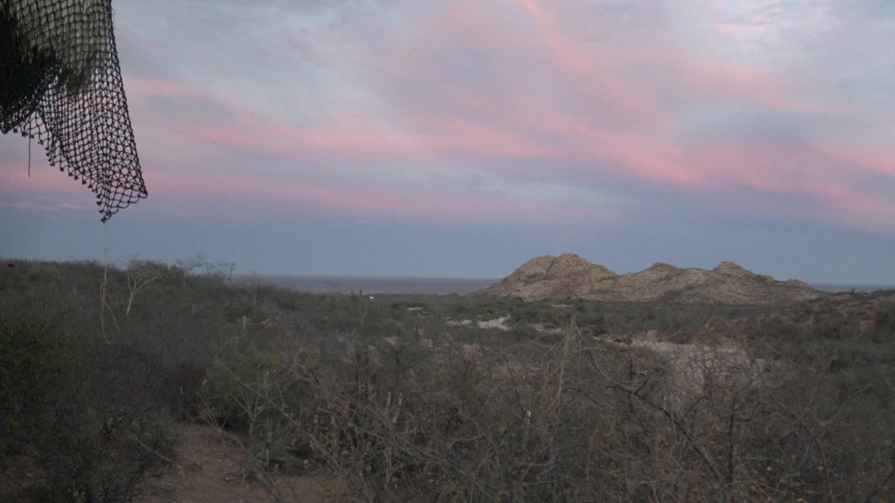 Low desert hills with sparse brush under pink clouds.