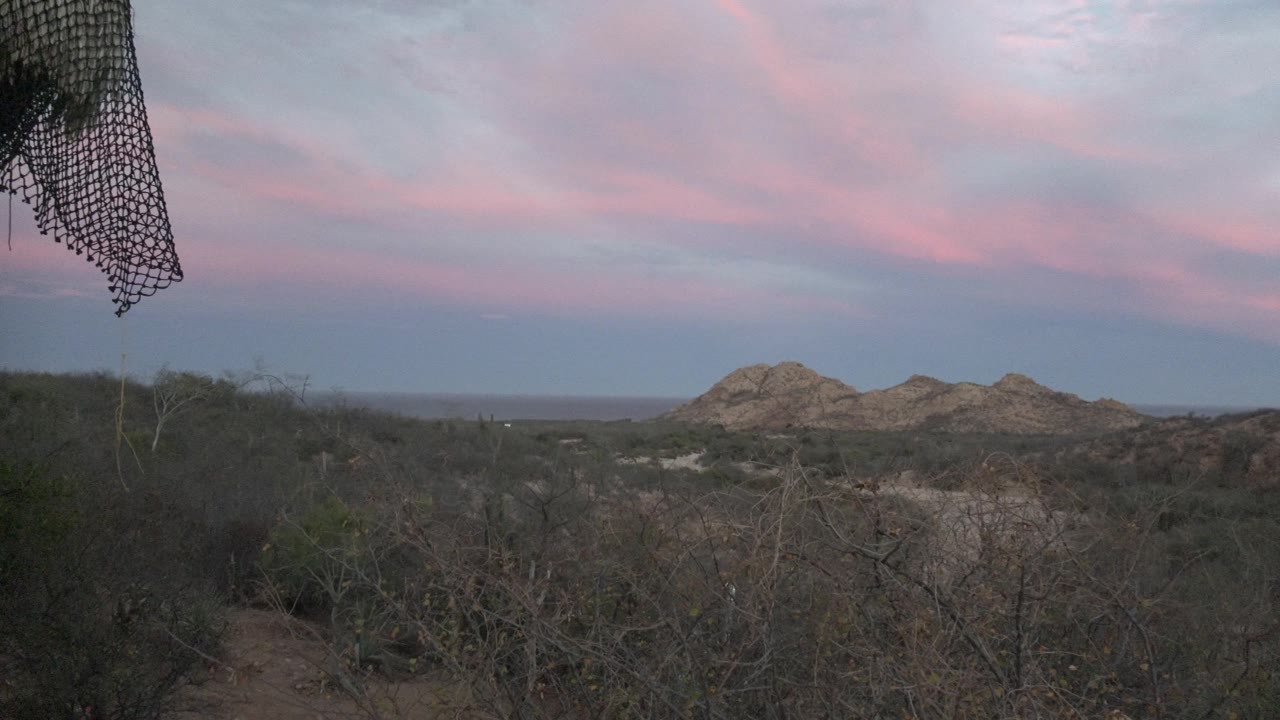 Wide dusk frame in Cabo Pulmo showing dark desert shrubs, distant rounded hills, a muted horizon, pink cloud streaks, and no visible people.