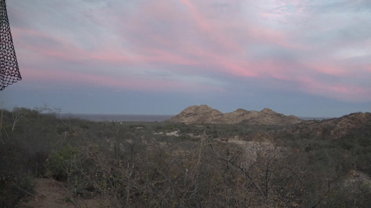 Mesh fence edge, dry desert scrub, rocky hills, and pink dusk clouds.