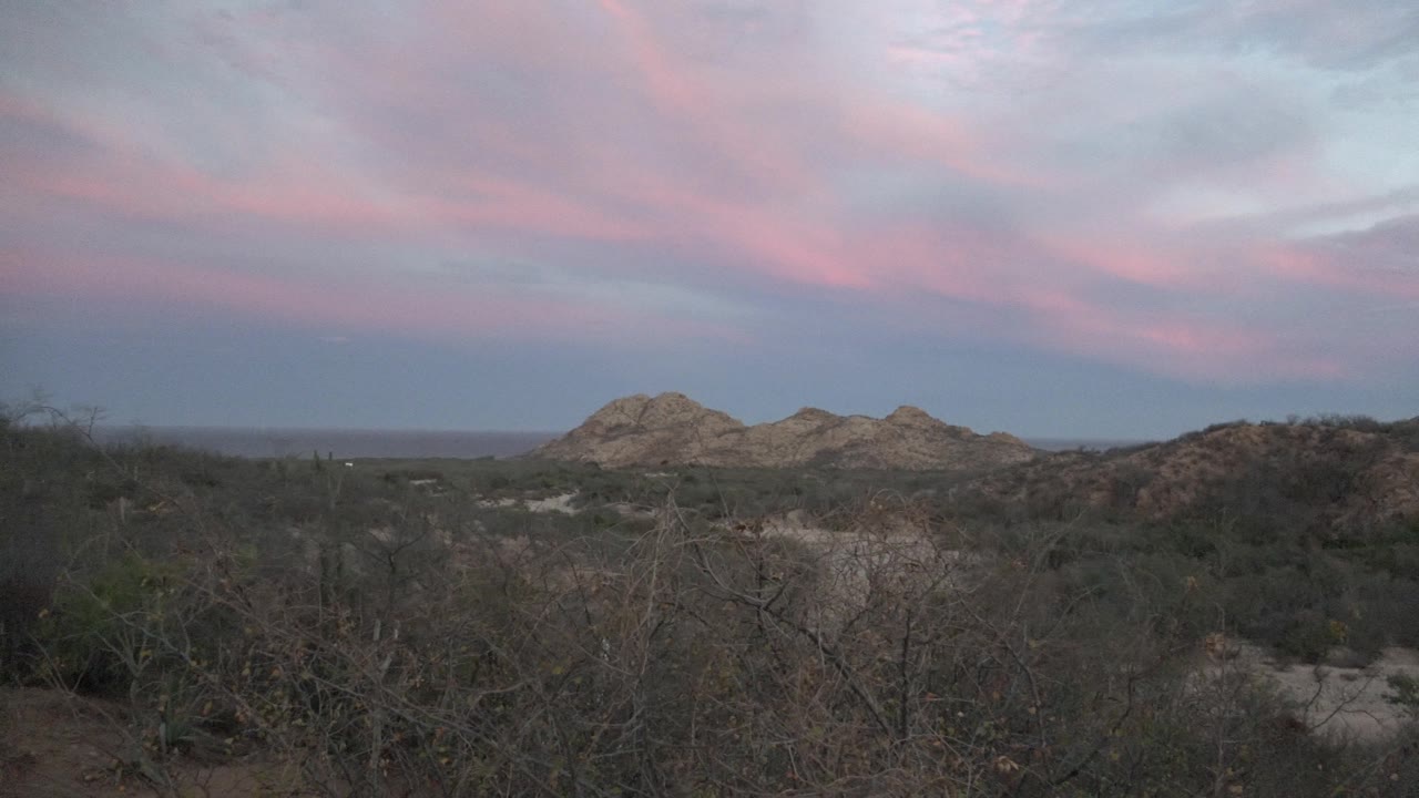 Dry brush and desert scrub in Cabo Pulmo sit before distant rocky hills, with pink cloud bands across a dim evening sky and no visible people.