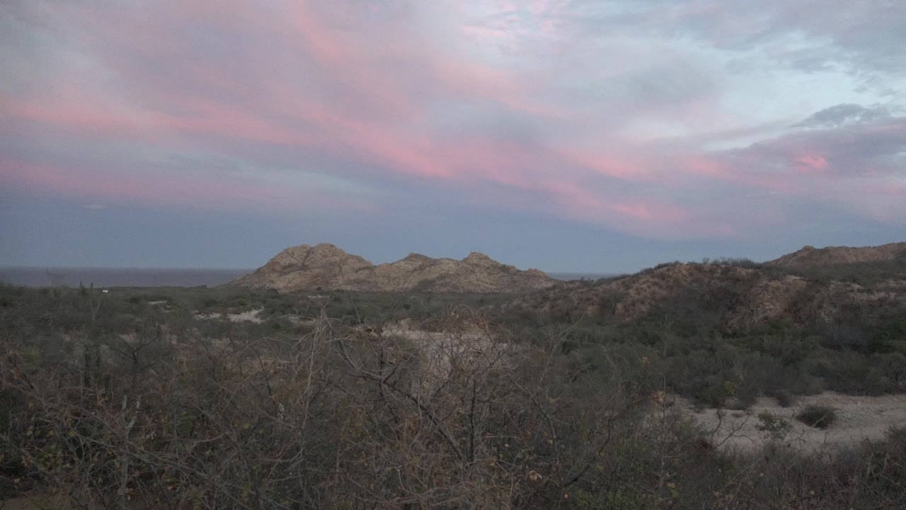 Cabo Pulmo landscape with scrubby desert plants in front, rocky hills across the horizon, a broad pink-purple cloud band, and no visible people.