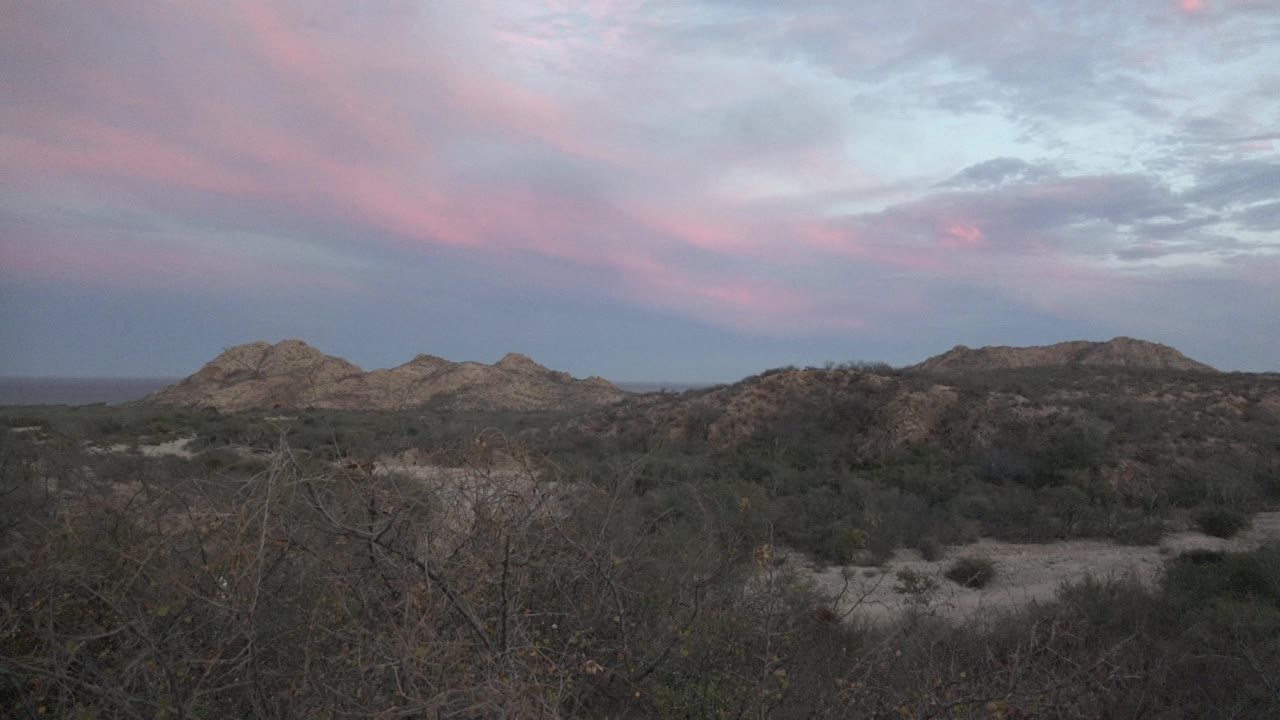 Cabo Pulmo desert at twilight with dry foreground branches, low rocky hills, pink cloud bands, and no visible people at the start of the clip.