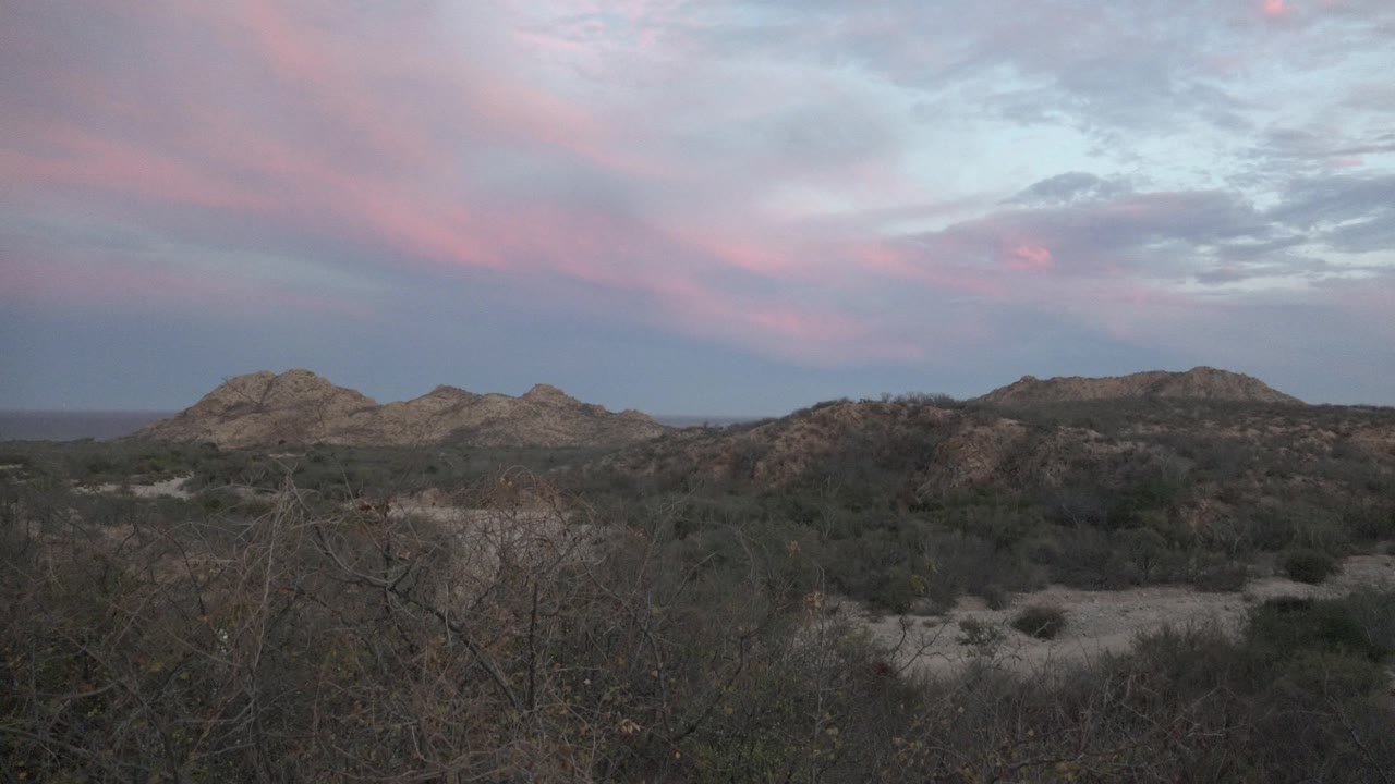 Cabo Pulmo arid landscape with scrub and bare branches in front of distant rounded hills under a pink and blue-gray evening sky, with no visible people.