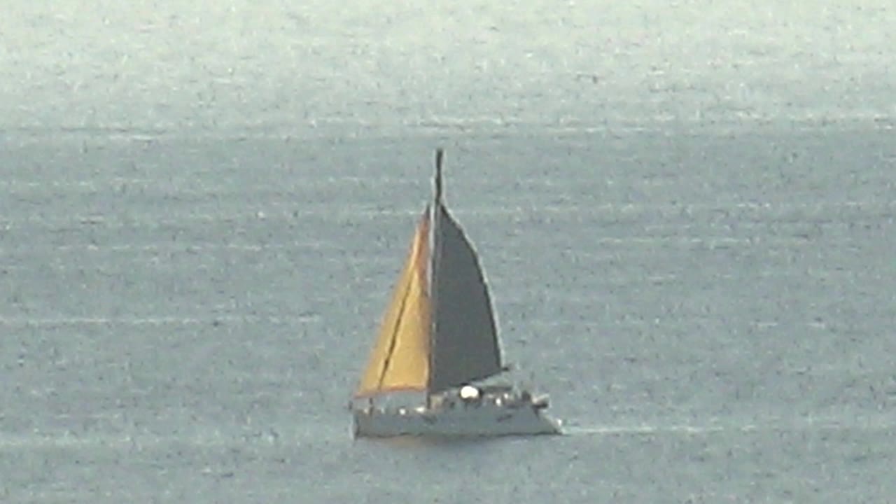 The sailboat is low and left in the frame on calm Cabo Pulmo ocean water, with the yellow sail bright against the darker sail and no visible people.