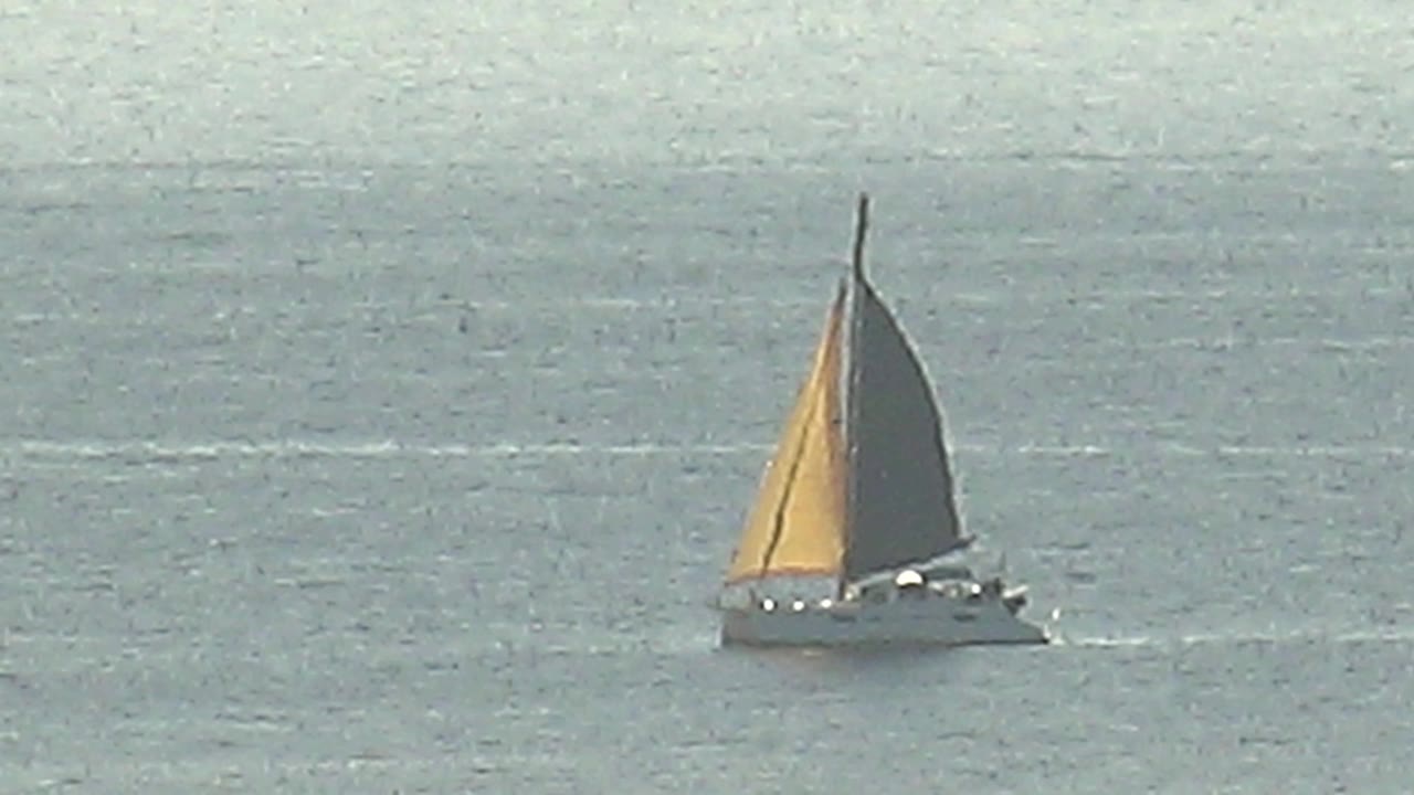 A gray-hulled sailing yacht with a yellow forward sail and dark rear sail crosses hazy open water in Cabo Pulmo, with no visible people.