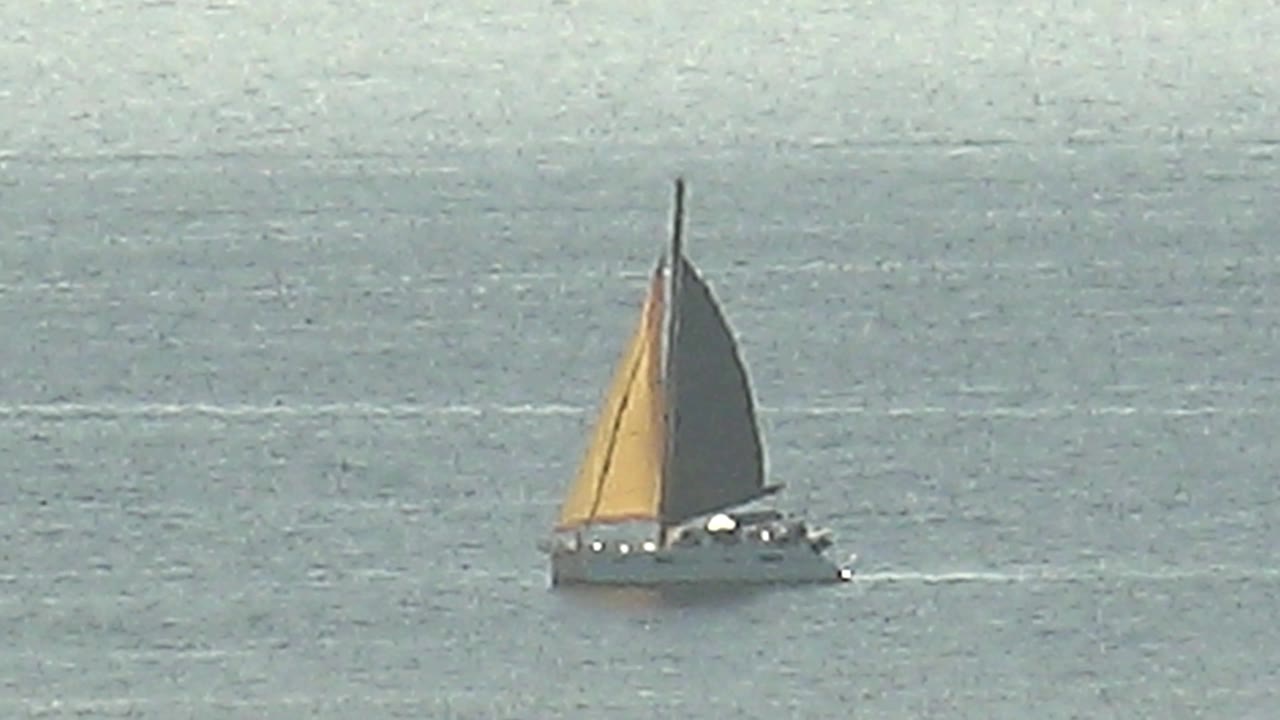 A distant white sailboat with yellow and dark sails moves over smooth Cabo Pulmo ocean water, with pale wake marks stretching behind it and no visible people.