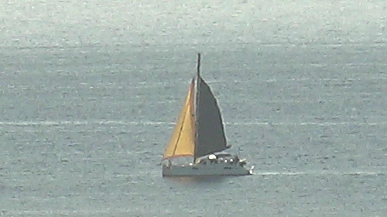 The sailboat continues across the Cabo Pulmo sea, with the yellow sail bright against muted blue gray water and a narrow wake visible behind the white hull, with no visible people.