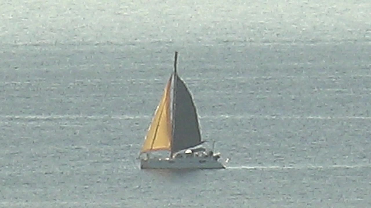 A white sailboat with yellow and dark sails moves across blue water in Cabo Pulmo, Mexico, with no visible people and a faint wake behind the hull.