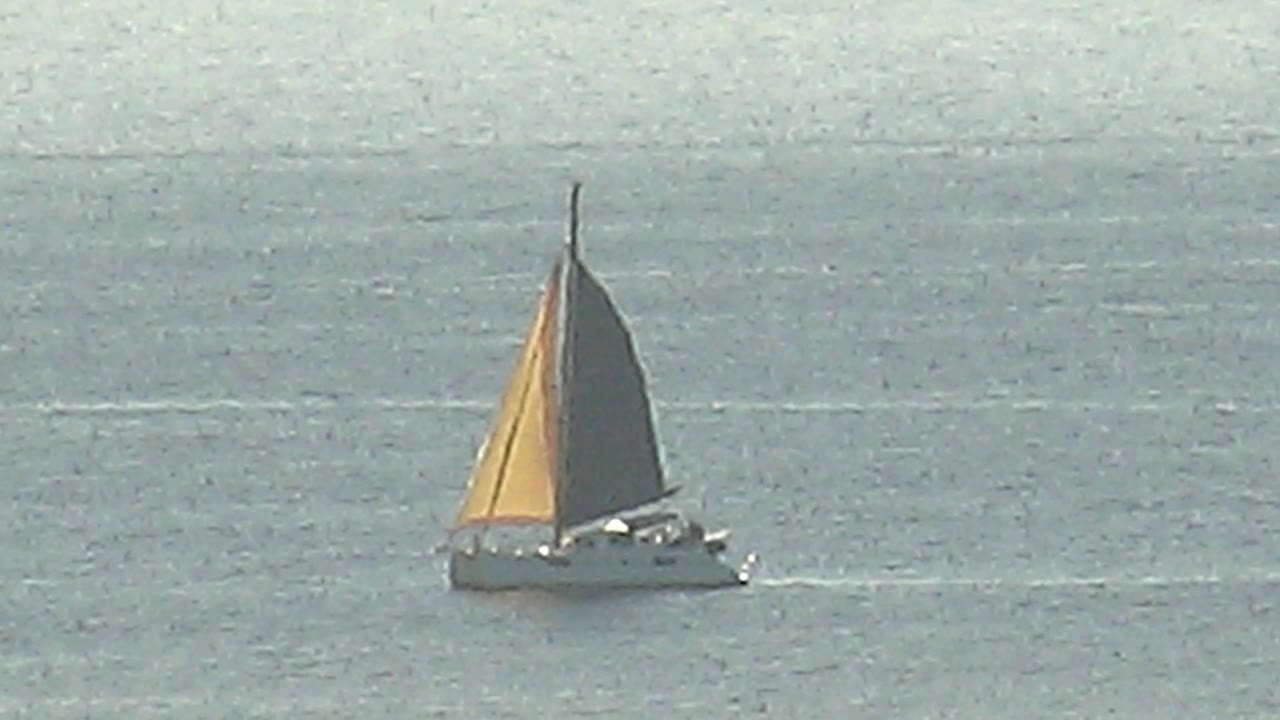A white sailing yacht continues across the blue surface near Cabo Pulmo, Mexico, with the wake stretching low behind it and no visible people in frame.