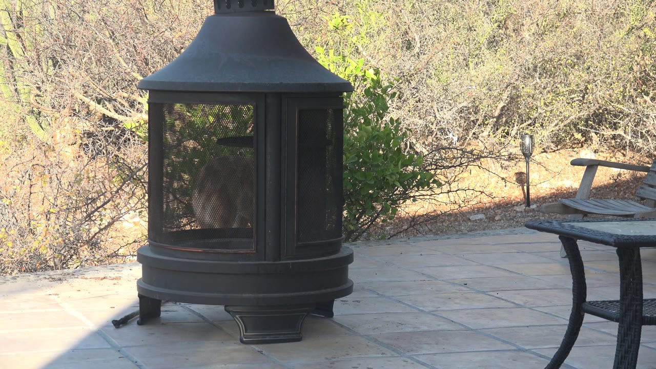 Black patio fire pit with dry brush and patio furniture behind it.