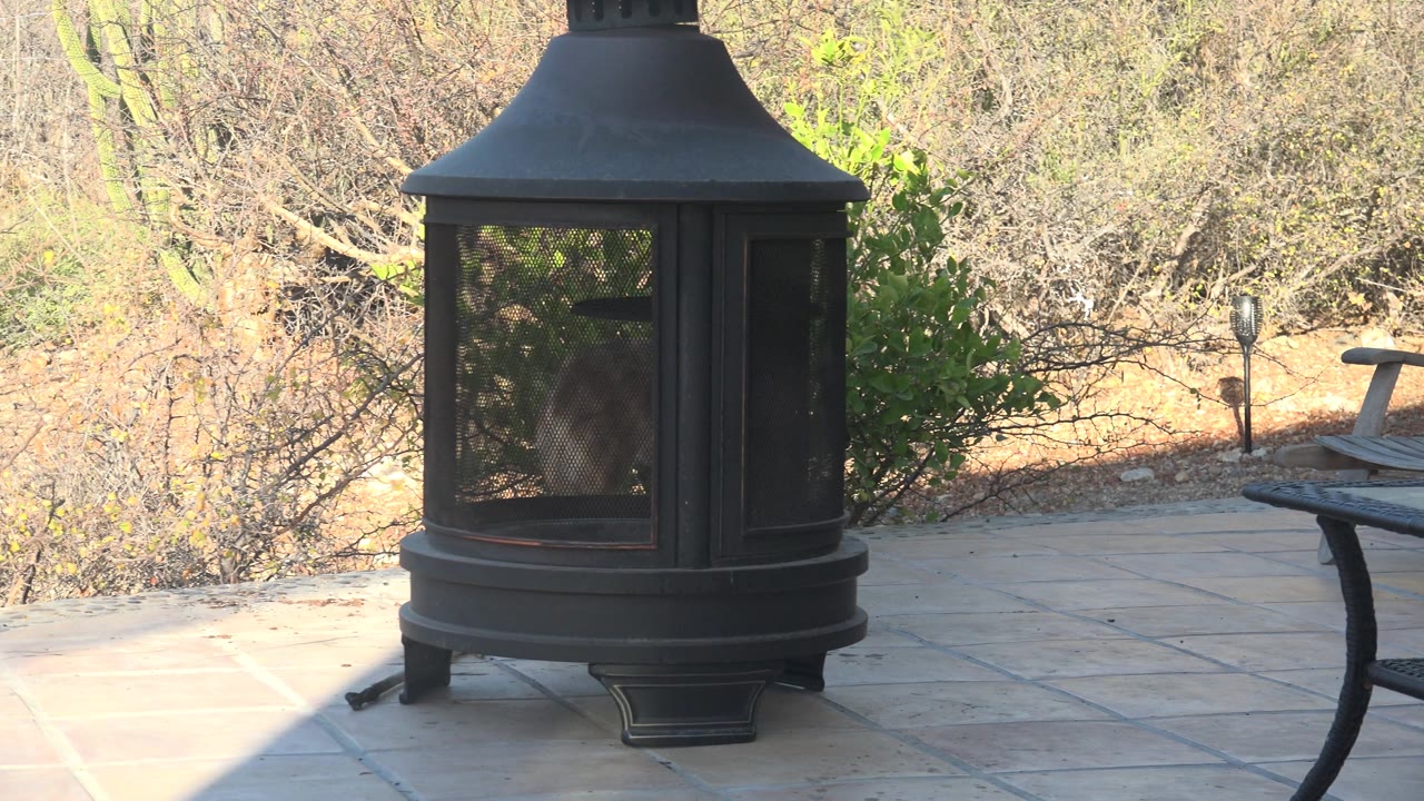 Centered view of the black patio fire pit in Cabo Pulmo, Mexico, with the tiled floor, outdoor chair, dry vegetation, path light, and no visible people.